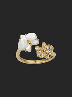 Stud Earrings